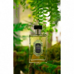 La Sultane De Saba Darjeeling Perfume EDP Parfüüm ingver, roheline tee 100ml