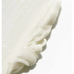 Novexpert Rich Protective Cream Kaitsev kreem oomegahapetega 40ml