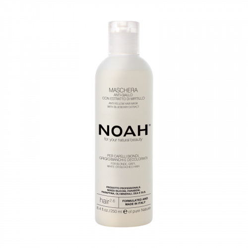 Noah 2.6 Anti-Yellow Hair Mask With Blueberry Extract Neutraliseeriv mask 250ml