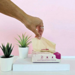 Gentle Day Bamboo Lotion Tissue Pleegitamata bambusest taskurätikud aloe vera ja glütseriiniga 100 tk.