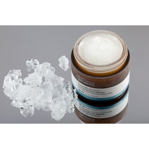 Skin Generics Snow Mushroom Ice to Gel De-Stress Hydrator Niisutav näokreem hüaluroonhappega 50ml