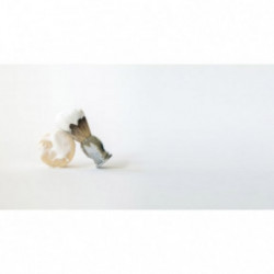 Leaf Shave Shave Soap Bar Raseerimisseep 85g