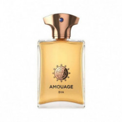 Amouage Dia pour homme parfüüm atomaiser meestele EDP 5ml