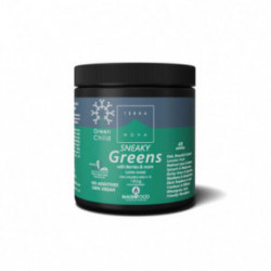 Terranova Green Child Sneaky Greens Super Shake Elusbakterite pulber lastele 180g