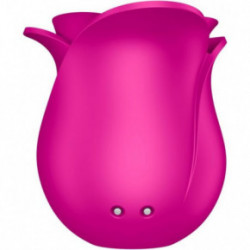 Satisfyer Pro 2 Modern Blossom Kliitori stimulaator Roosa