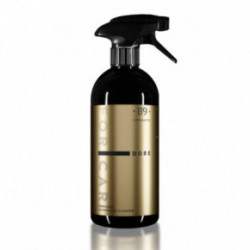 Aromatic 89 Perfumed Dashboard Cleaner Parfümeeritud autopaneelide puhastusvahend 100ml