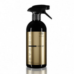Aromatic 89 Perfumed Dashboard Cleaner Parfümeeritud autopaneelide puhastusvahend 100ml