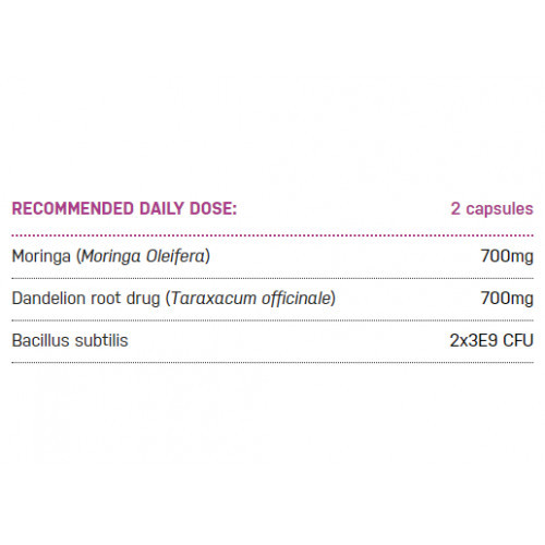 Ecosh Bacillus Subtilis Plius Toidulisand seedimiseks 90 kapslit