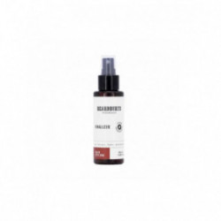 Beardburys Essentials Finalizer Final Touch Spray Viimistlussprei 100ml