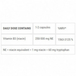 Ecosh Niacine Supplement B3-vitamiin – niatsiin 90 kapslit
