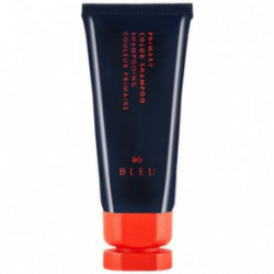 R+Co BLEU Primary Color Shampoo Niisutav šampoon värvi fikseerimiseks 251ml