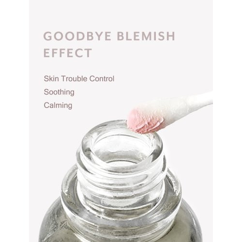 Mizon Goodbye Blemish Pink Spot Intensiivne hooldus probleemsele näonahale 19ml