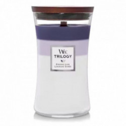 WoodWick Trilogy Evening Luxe Candle Küünal Medium