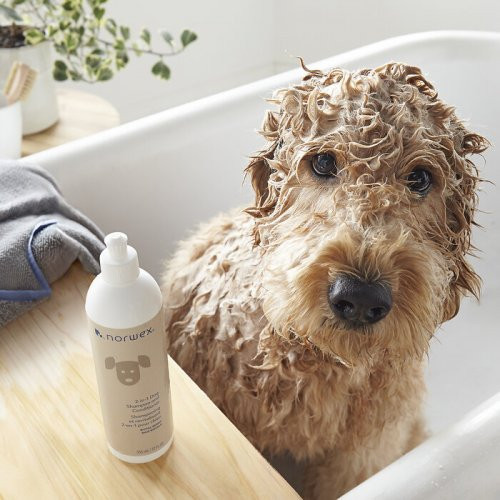 Norwex 2in1 Dog Shampoo and Conditioner Šampoon ja palsam koertele 355ml