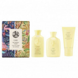 Oribe Hair Alchemy Travel Set Reisi kinkekomplekt