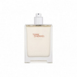 Hermes Terre d'hermès eau givrée parfüüm atomaiser meestele EDP 5ml