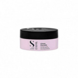 AlfaParf Milano Style Stories Glossy Pomade Säravaha 90ml