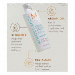 Moroccanoil Hydration Shampoo & Conditioner Duo Niisutav komplekt juustele