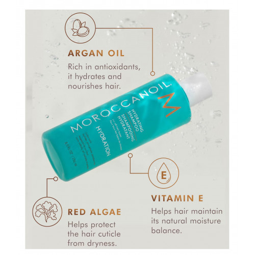 Moroccanoil Hydration Shampoo & Conditioner Duo Niisutav komplekt juustele
