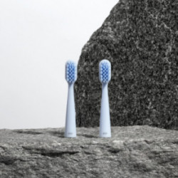 Alpine White Sonic Toothbrush Replacement Heads Vahetatavad hambaharjapead 2 tk