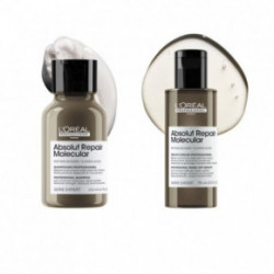 L'Oréal Professionnel Absolut Repair Molecular Hair Mini Duo Kit Juuste struktuuri taastamise komplekt Seatud