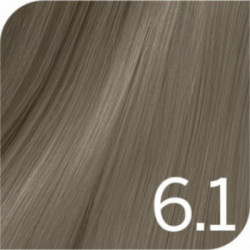 Revlon Professional Revlonissimo Colorsmetique Permanent Hair Color COOLS Professionaalne juuksevärv 60ml