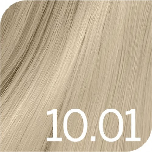 Revlon Professional Revlonissimo Colorsmetique Permanent Hair Color COOLS Professionaalne juuksevärv 60ml