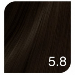 Revlon Professional Color Excel Gloss Acidic Gloss Treatment + Color Excel Gloss Energizer Juuksevärv ja oksüdatiiv emulsioon Seatud