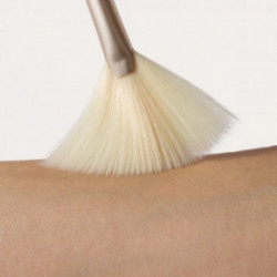 Jane Iredale Fan Brush Pintsel kuivade toodete jaoks 1 tk