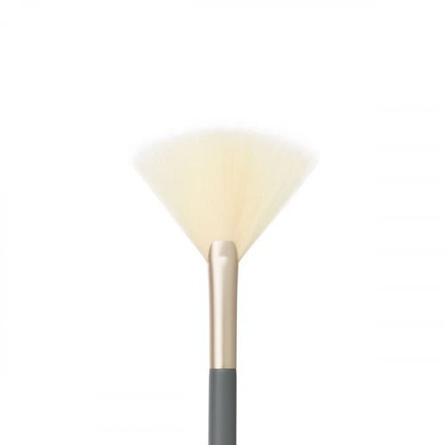 Jane Iredale Fan Brush Pintsel kuivade toodete jaoks 1 tk