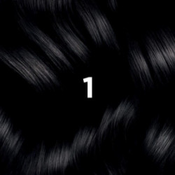 Phyto Hair Pernament Color Püsiv juuksevärv 1 Black