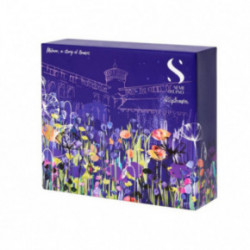 AlfaParf Milano SDL Holiday Blonde Gift Set Komplekt blondeeritud juustele