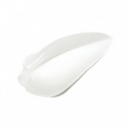 Delilah Under Wear Future Resist Skin Primer Meigipõhi 40ml