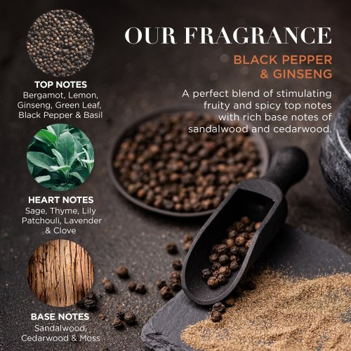 Baylis & Harding Black Pepper & Ginseng Men's The Essentials Tin Kit Gift Set Kinkekomplekt meestele