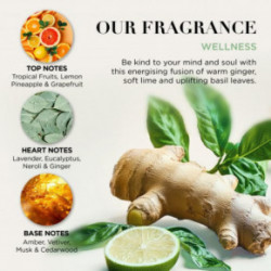 Baylis & Harding Wellness Tin Of Treats Gift Set Kinkekomplekt