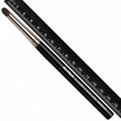 Da Vinci Classic Eye 4194 Meigipintsel silmavärvi retušeerimiseks 1 tk
