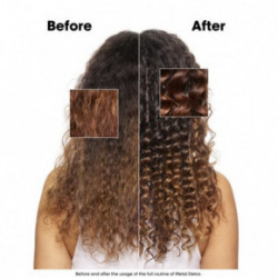 L'Oréal Professionnel Meteora Metal Detox TRIO Komplekt kõikidele juuksetüüpidele