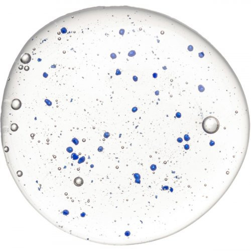 Hadat Cosmetics Microcapsules Shampoo Mikrokapslite sügavpuhastav šampoon 250ml