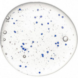 Hadat Cosmetics Microcapsules Shampoo Mikrokapslite sügavpuhastav šampoon 250ml