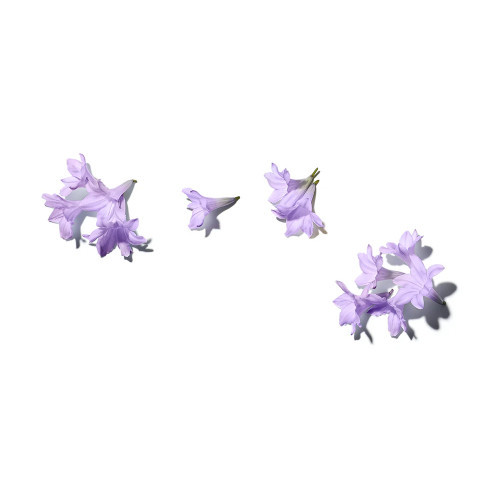 Benamor Jacarandá Calming Milky Body Cream Rahustav kehakreem 150ml