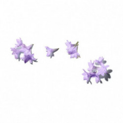 Benamor Jacarandá Calming Milky Body Cream Rahustav kehakreem 150ml