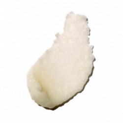 Benamor Gordíssimo Nutritive Lip Balm Toitev huulepalsam 12ml