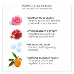 Delilah Wake Up Radiant Hydrating Mist Näonaha ja jumestuse udu 80ml