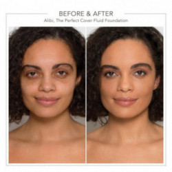 Delilah Alibi The Perfect Cover Jumestuskreem 30ml