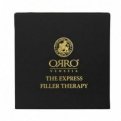 ORRO VENEZIA The Express Filler Therapy Täitematerjal teraapia tugevalt kahjustatud juuste jaoks 20x10ml