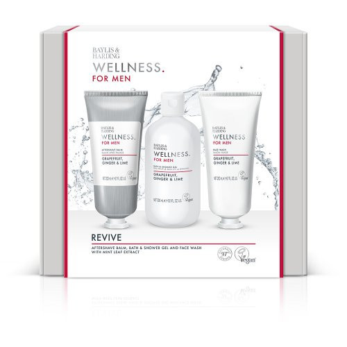 Baylis & Harding Wellness For Men Everyday Revival Gift Set Kinkekomplekt meestele