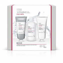 Baylis & Harding Wellness For Men Everyday Revival Gift Set Kinkekomplekt meestele