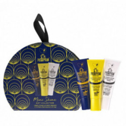 Dr.PAWPAW Mini Shine Gift Collection Huulte hoolduskomplekt