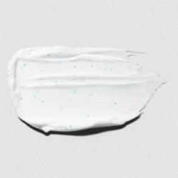 Paul Mitchell Tea Tree Hair and Scalp Treatment Niisutav juuksemask 150ml