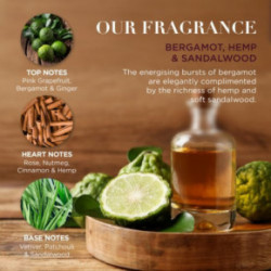 Baylis & Harding The Fuzzy Duck Bergamot, Hemp & Sandalwood Men's Luxury Wash Bag Gift Set Kehahoolduskomplekt